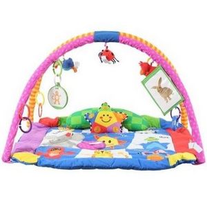 Kids Ii Baby Einstein Play Gym Reviews Viewpoints Com