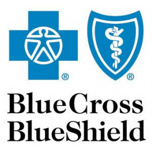 Blue Cross Blue Shield Ma Dental Blue Program 2