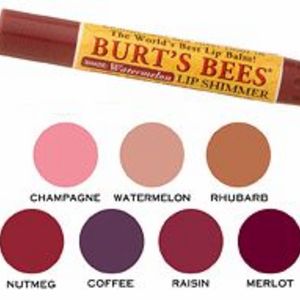 Burt's Bees Lip Shimmer - All Shades