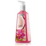 Bath & Body Works Anti-Bacterial Deep Cleansing Hand Soap