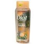 Dial All Day Freshness Tropical Escape Antibacterial Body Wash