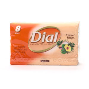 Dial All Day Freshness Tropical Escape Antibacterial Deodorant Bar Soap