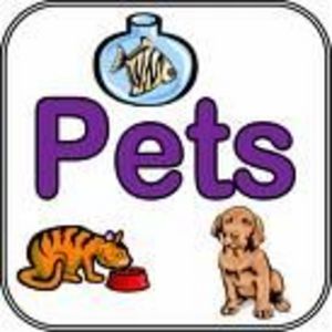Universal Pet Products Proderma V