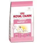 Royal Canin Babycat Dry Food