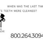 Gentle Dental for Pets Non-anesthetic teeth cleaning service