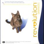Revolution Flea Control for Cats