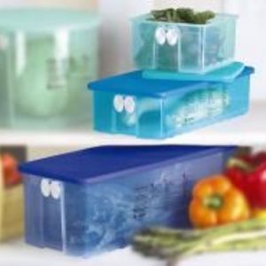 Getting Smart With Tupperware FridgeSmart® Containers {Review