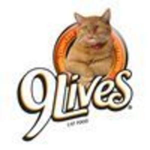 9 Lives Urinary Tract Formula Dry Cat Food
