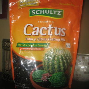 Schultz premium cactus  palms & citrus potting mix