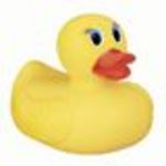 Munchkin Safety Bath Ducky
