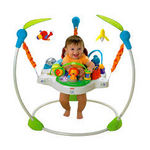 Fisher-Price Precious Planet Jumperoo