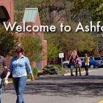 Ashford University - Organizational Management