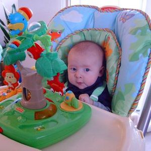 Fisher Price Rain Forest High Chair