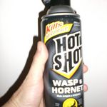 Hot Shot Wasp & Hornet Killer