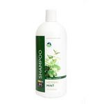 Whole Foods 365 Herbal Mint Hair Shampoo