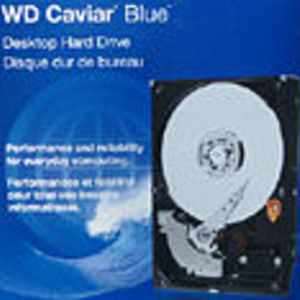 Western Digital Caviar Blue WD3200 320GB PATA hard drive