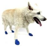 Pawz Dog Boots (Medium)