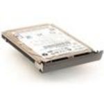 CMS (DD620-80) 80 GB SATA Hard Drive