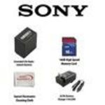 Sony NP-FV100 Li-Ion Extended Life Replacement Battery Pack 5600mAh Battery Charger 