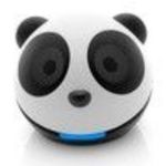 Pro Power Accessory Power Gogroove Panda Pal speaker system - compact, powerful, portable, and fun - Plugs int...