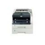 Kyocera FS 1100 870B61102H53EU0 Laser Printer