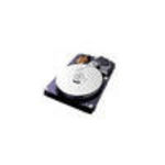 IBM (43X0802) 300 GB SAS Hard Drive