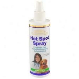 21st Century Hot Spot Spray