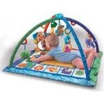 Fisher-Price Songs and Smiles Discovery Gym