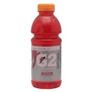 Gatorade - G2 Thirst Quencher  ( Fruit Punch Flavor)