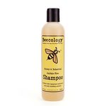 Beecology Honey & Botanical Sulfate-Free Shampoo
