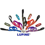 Lupine Leashes and Collars