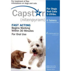 Capstar Flea Treatment for Dogs and Cats