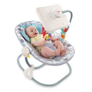 Fisher-Price Newborn to Toddler Apptivity Seat