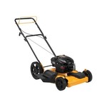 Poulan Pro PR550N22SH 2 in 1 Side Discharge and Bag with High Front Wheel Self-Propelled Mower, 22-Inch (Discontinued by Manufacturer)