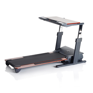 NordicTrack Desk Treadmill