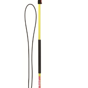 BE Pressure 24 FT 4000 PSI 8 GPM Telescoping Wand
