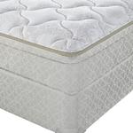 Sealy Taylorsville Plush Euro Top, Twin Extra Long Mattress Only