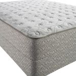 Sealy Amici Select Firm Queen Mattress Only